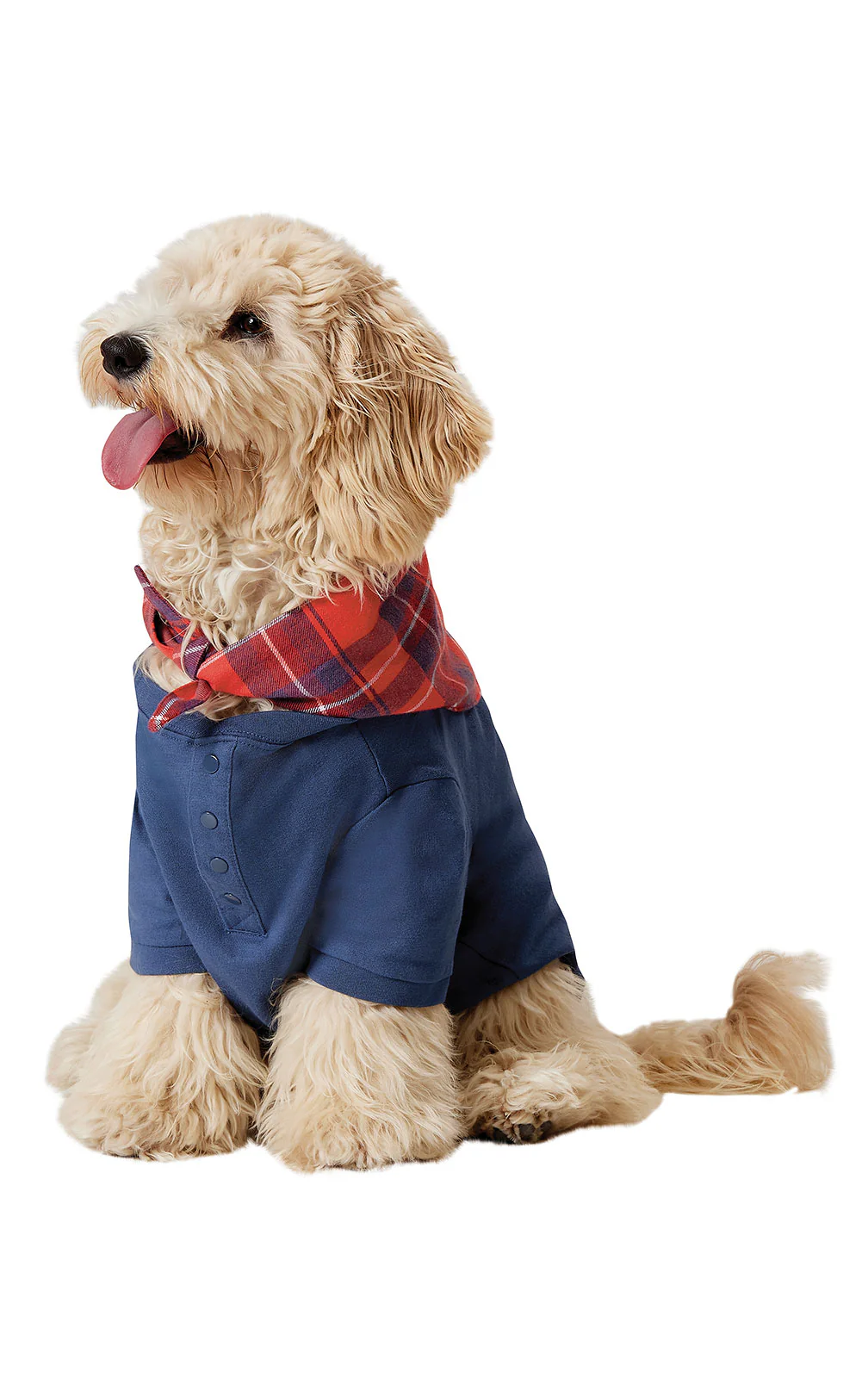 Americana Plaid Matching Family Pajamas - Image 11
