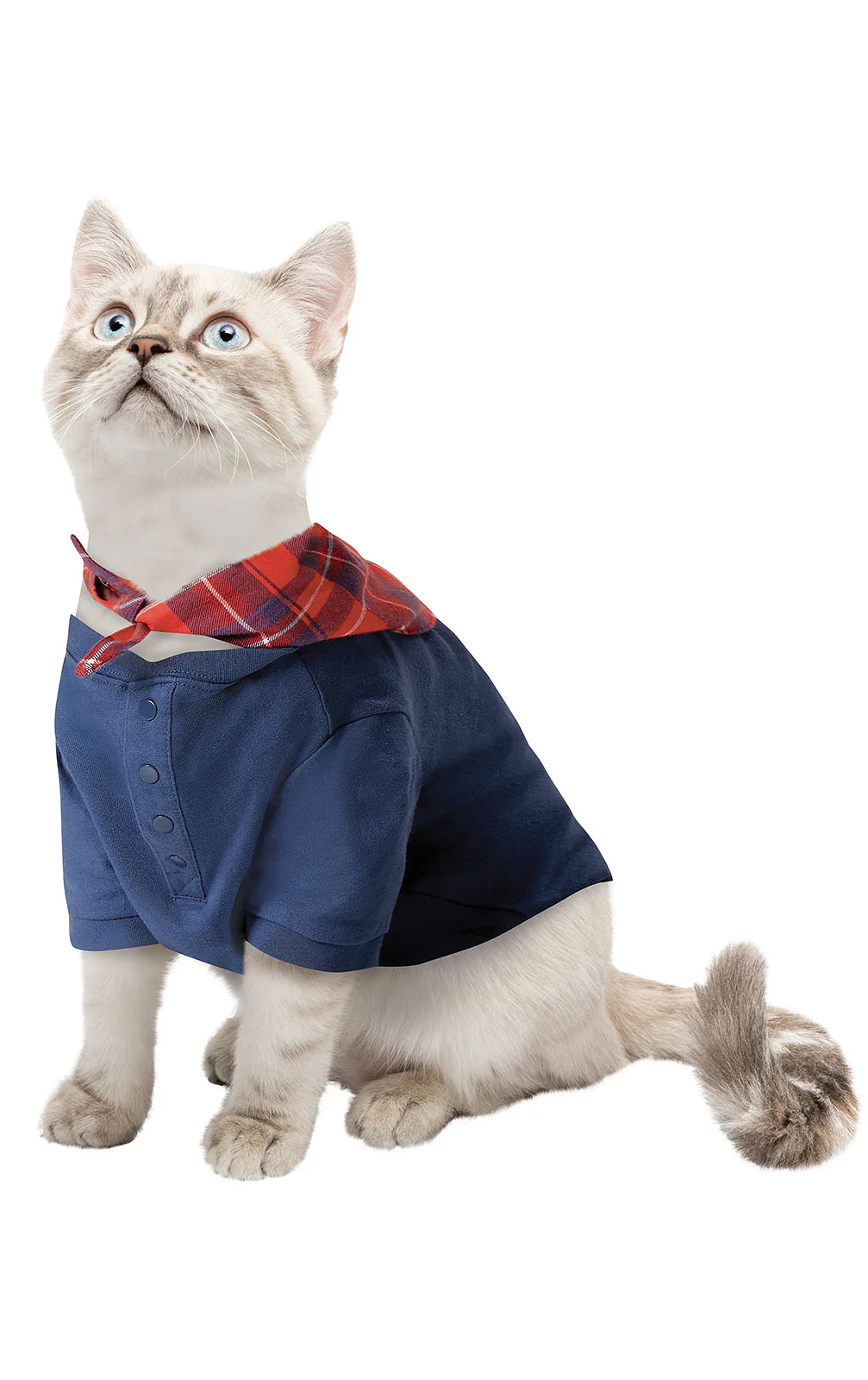 Americana Plaid Pet Pajamas - Image 2