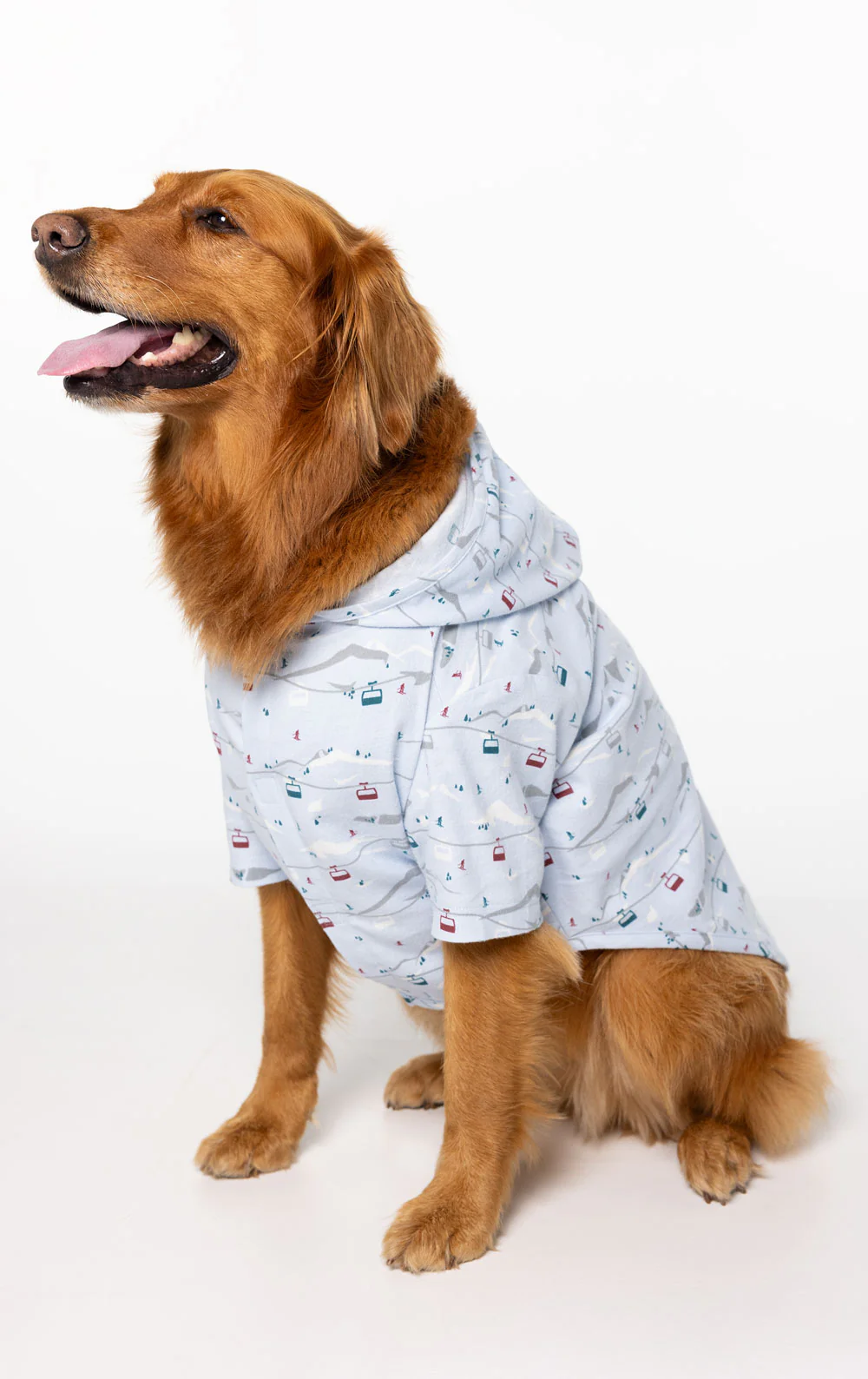 Apres Ski Matching Pet & Owner Pajamas - Image 6