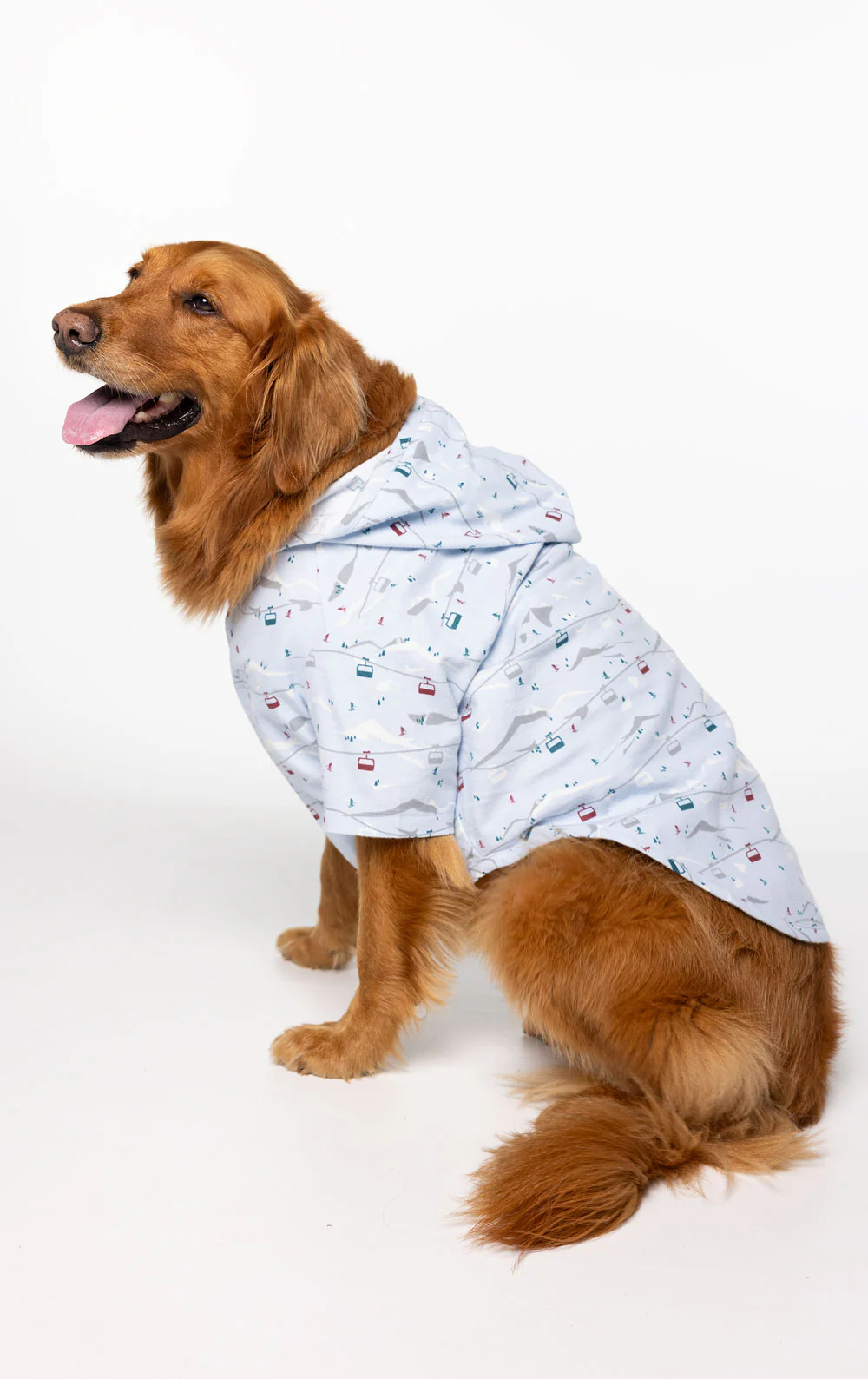 Apres Ski Pet Pajamas - Image 2