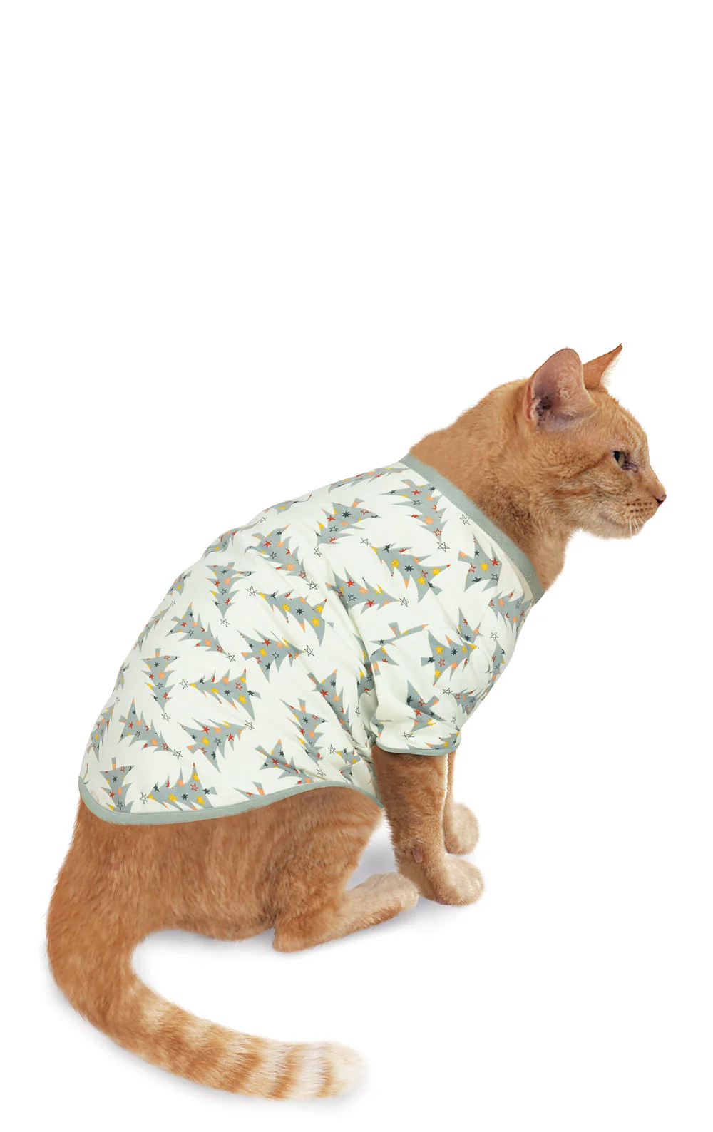 Balsam & Pine Pet Pajamas - Pet & Owner - Image 2