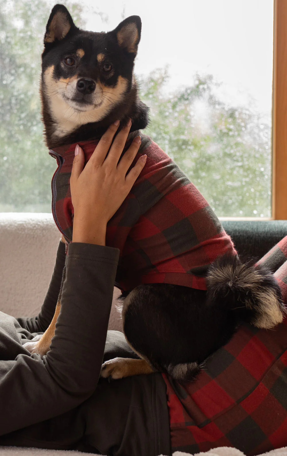 Buffalo Plaid Matching Pet & Owner Pajamas - Image 3