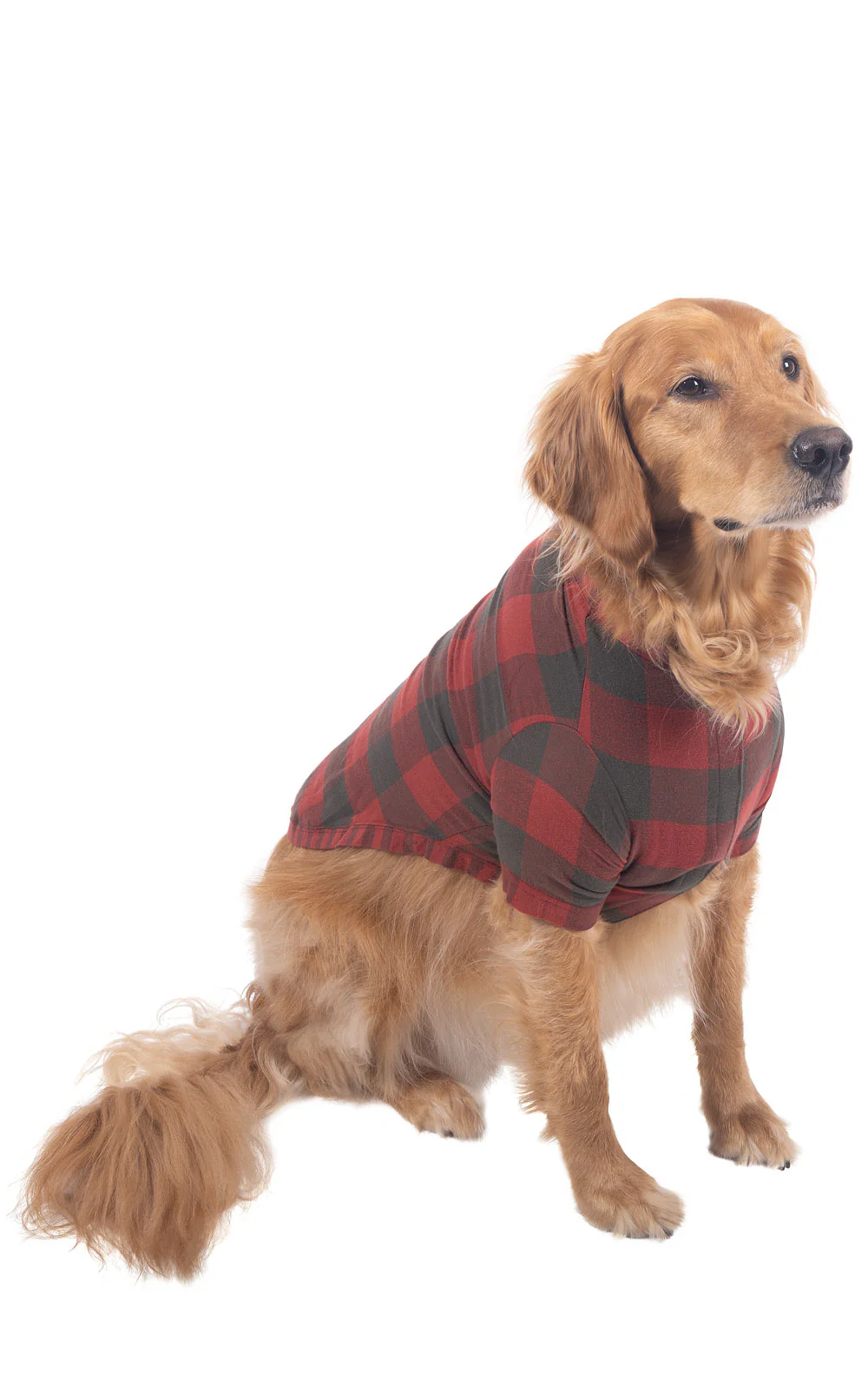 Buffalo Plaid Matching Pet & Owner Pajamas - Image 6