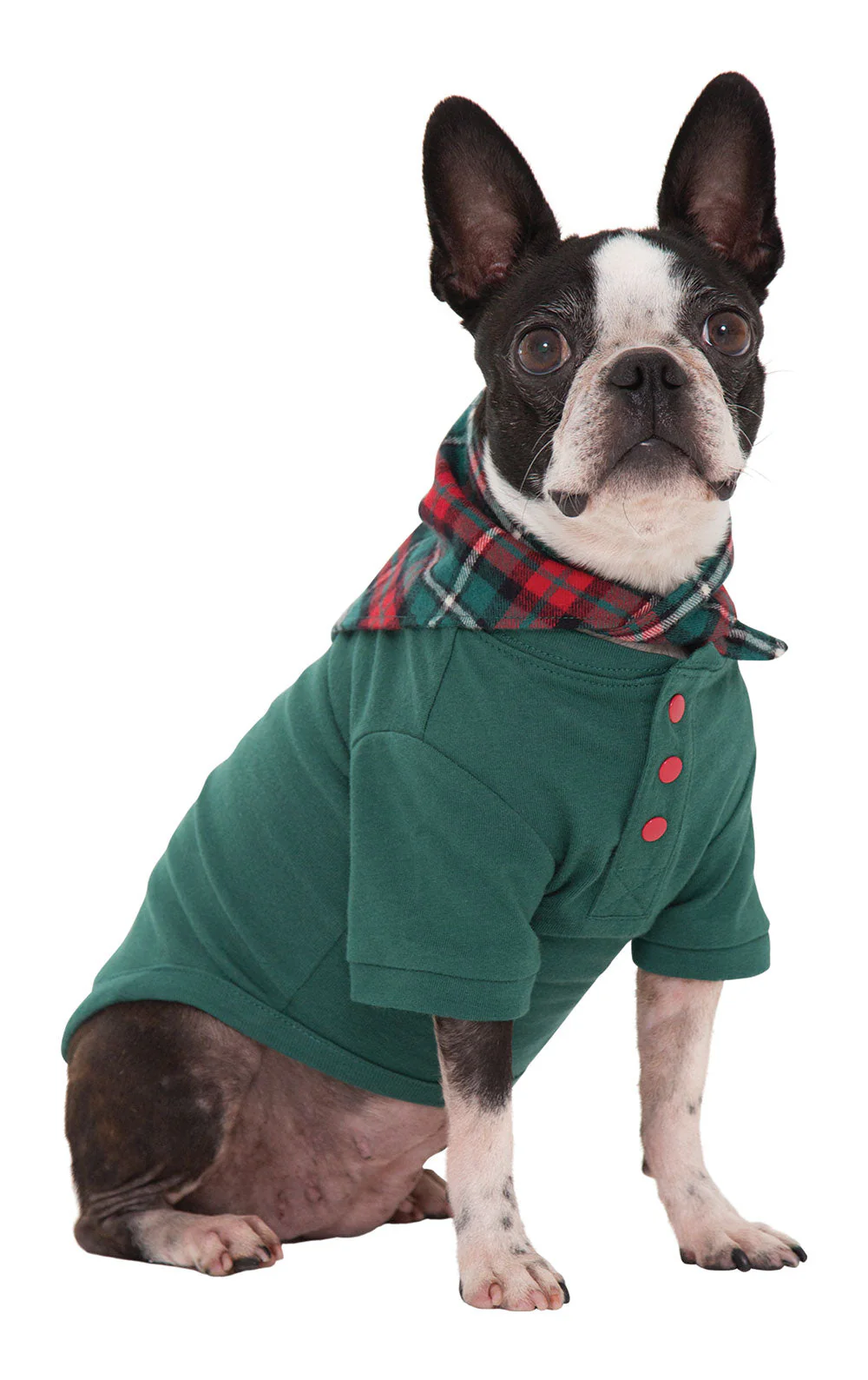 Christmas Plaid Matching Pet & Owner Pajamas - Image 4