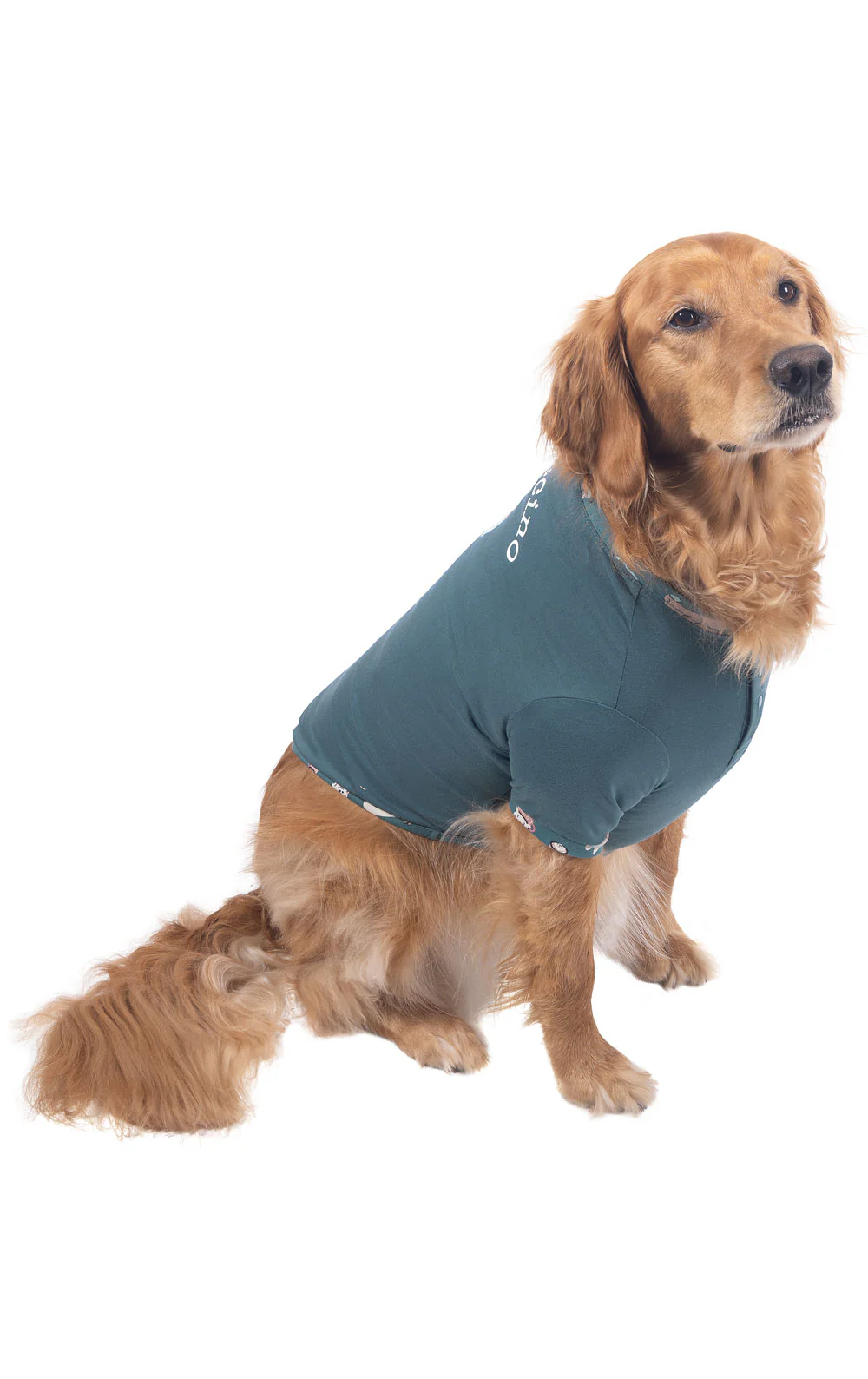 Coffee Dogs Graphic Matching Pet & Owner Pajamas - Image 4