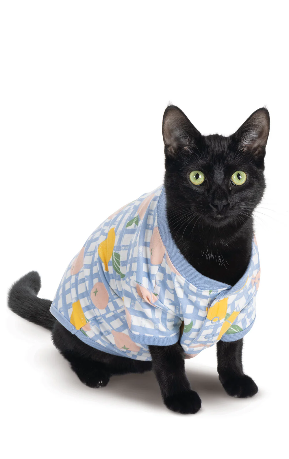 Countryside Gingham Pet Pajamas - Image 2