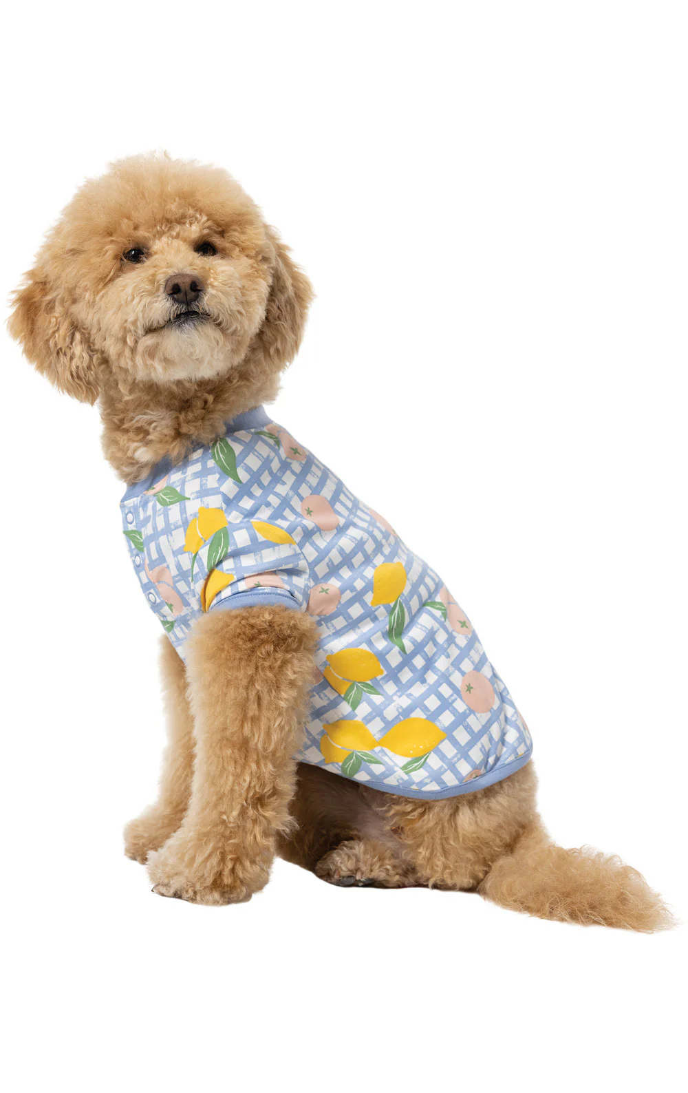 Countryside Gingham Pet Pajamas - Image 3