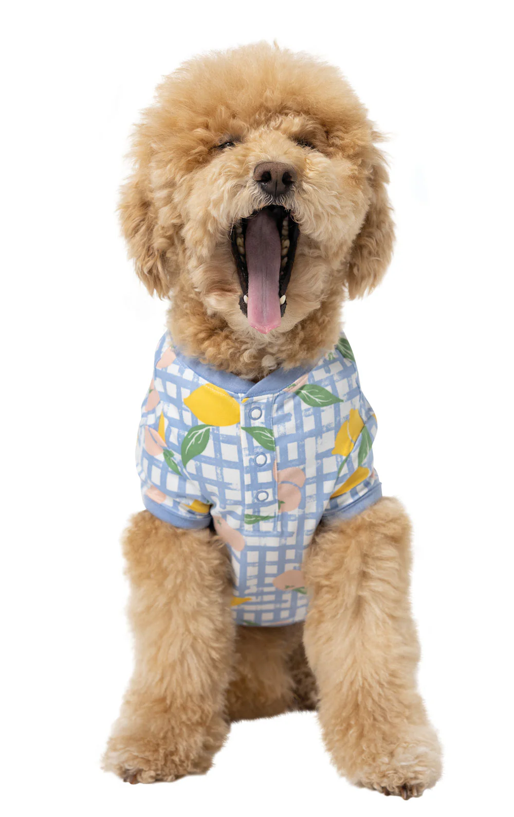Countryside Gingham Pet Pajamas - Image 4