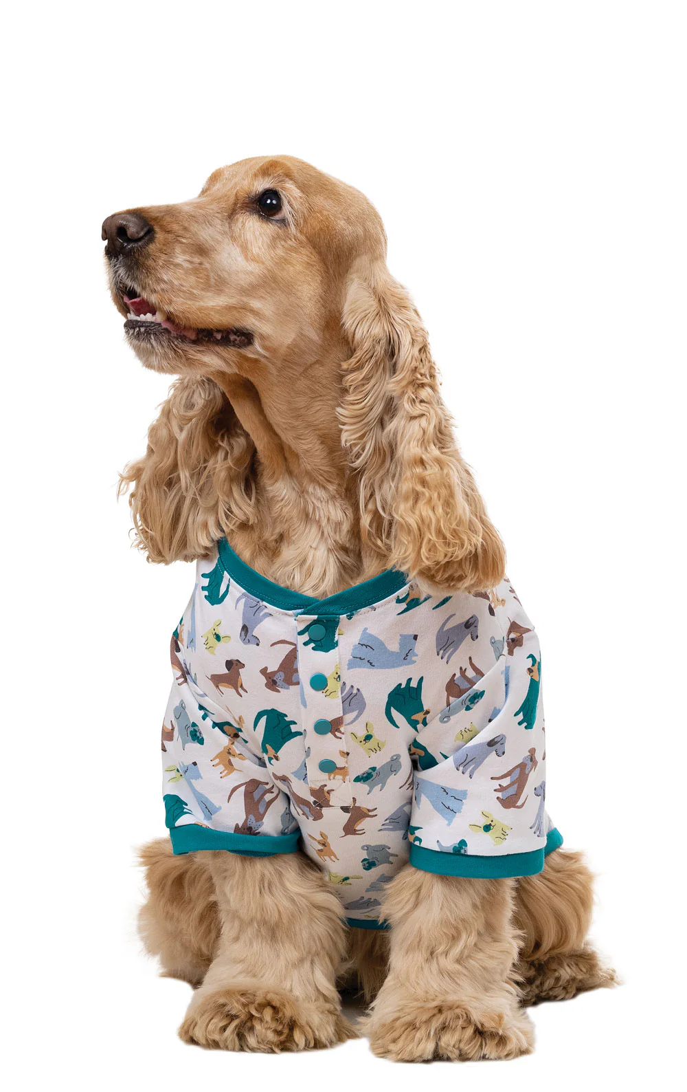 Dogs Are My Favorite Matching Pet & Owner Pajamas - Image 4