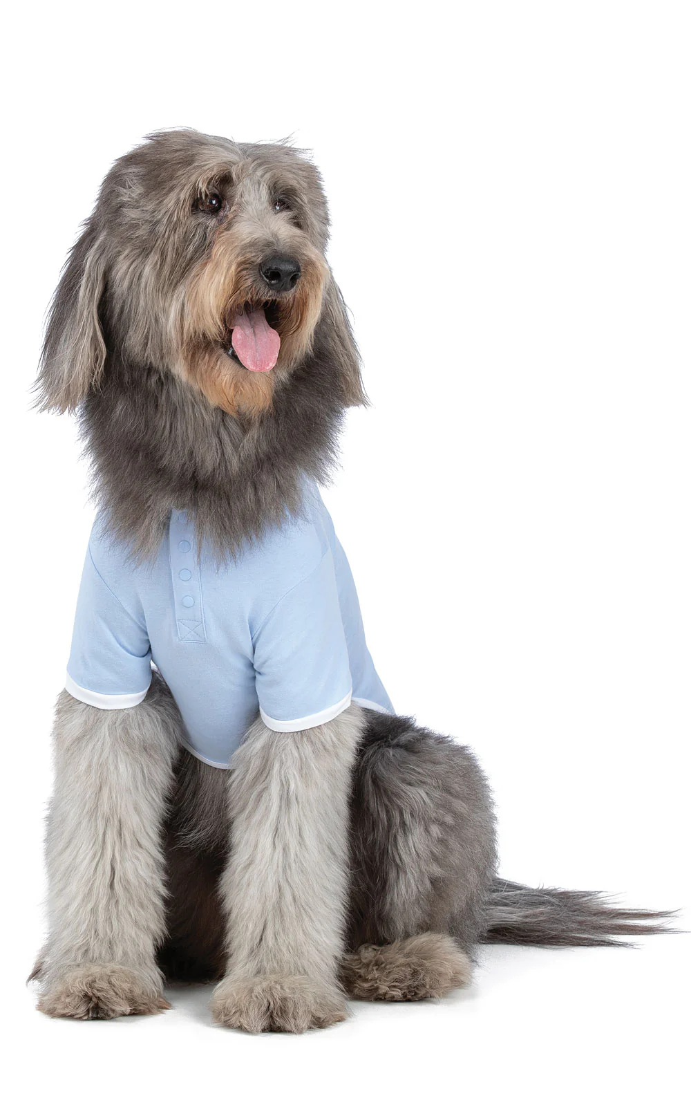Dog Mom Matching Pet & Owner Pajamas - Image 4