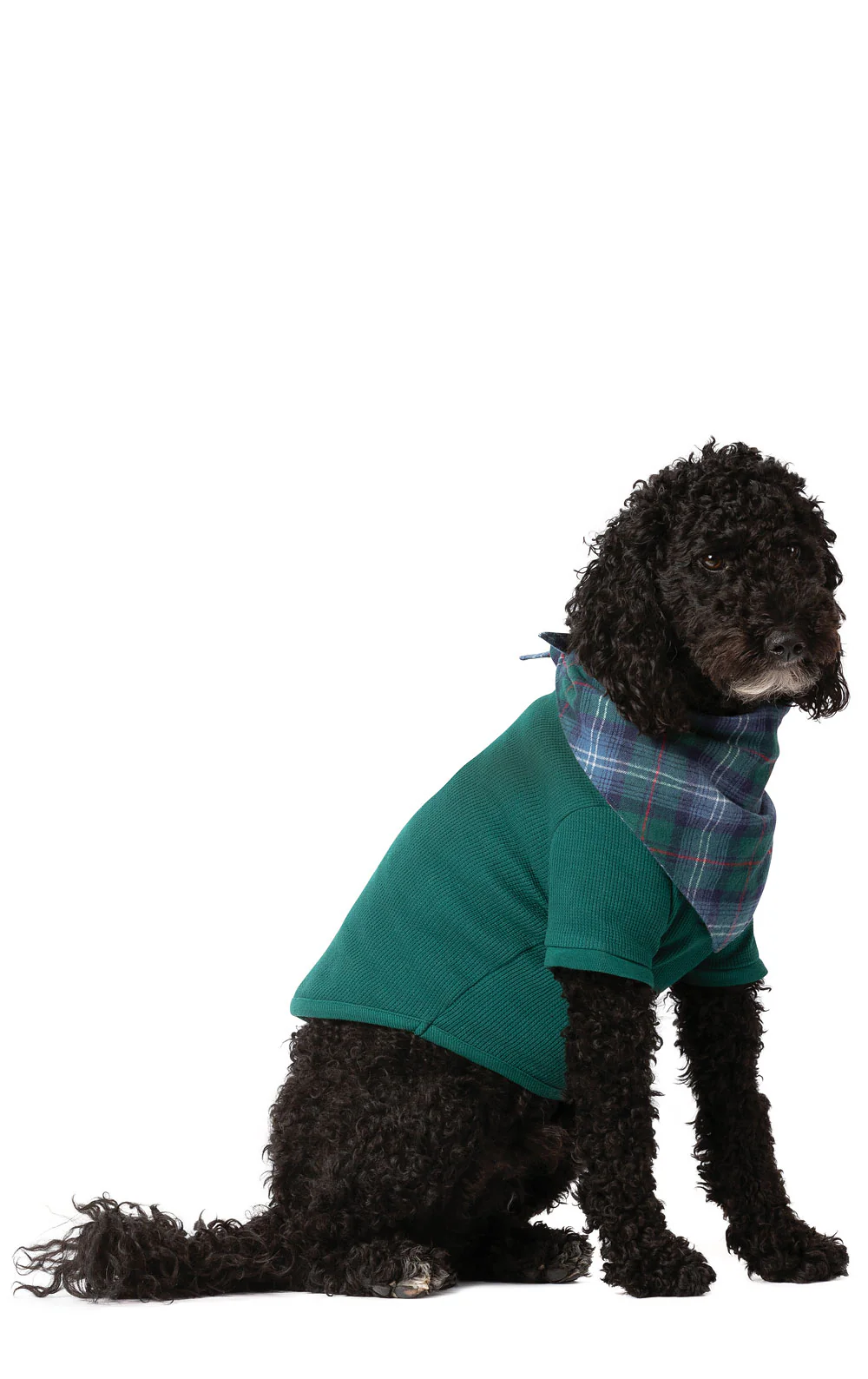 Heritage Plaid Matching Pet & Owner Pajamas - Image 4