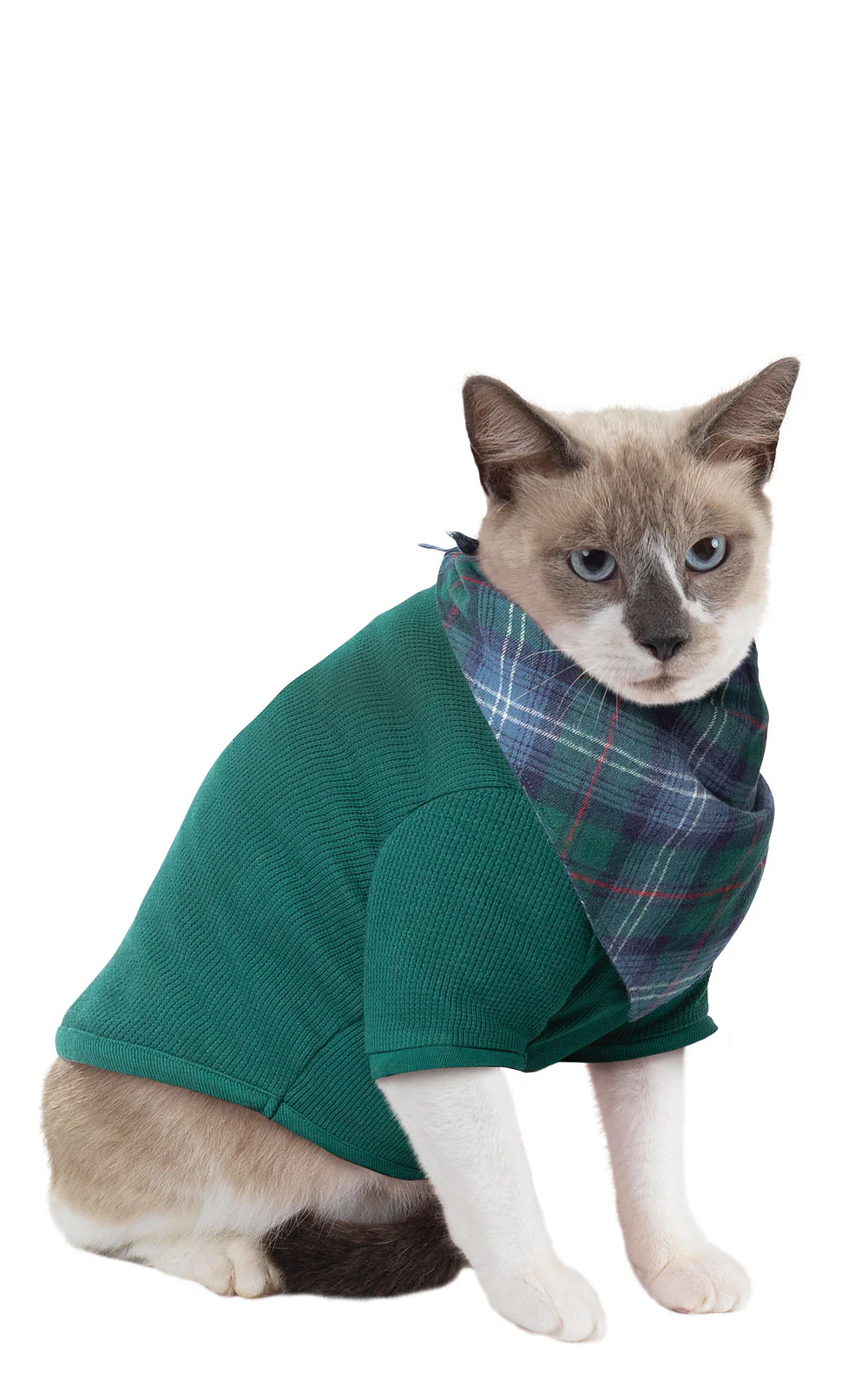 Heritage Plaid Thermal Pet Pajamas - Pet & Owner - Image 2