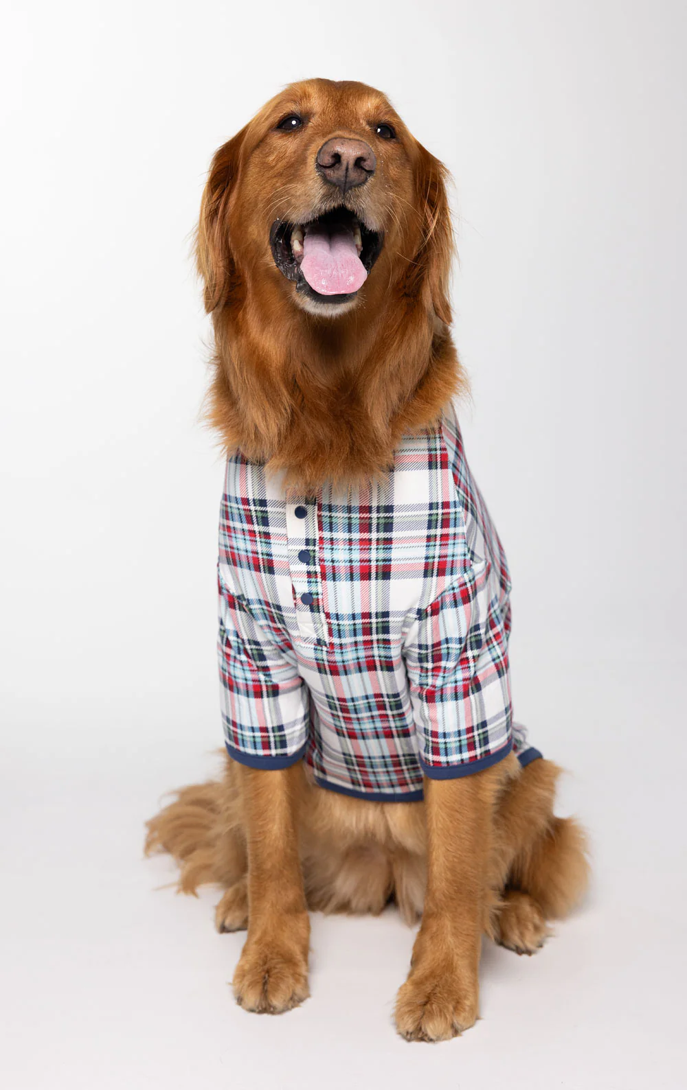 Farrell Plaid Matching Pet & Owner Pajamas - Image 8