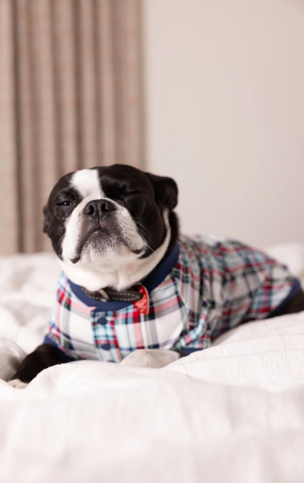Farrell Plaid Pet Pajamas - Image 2