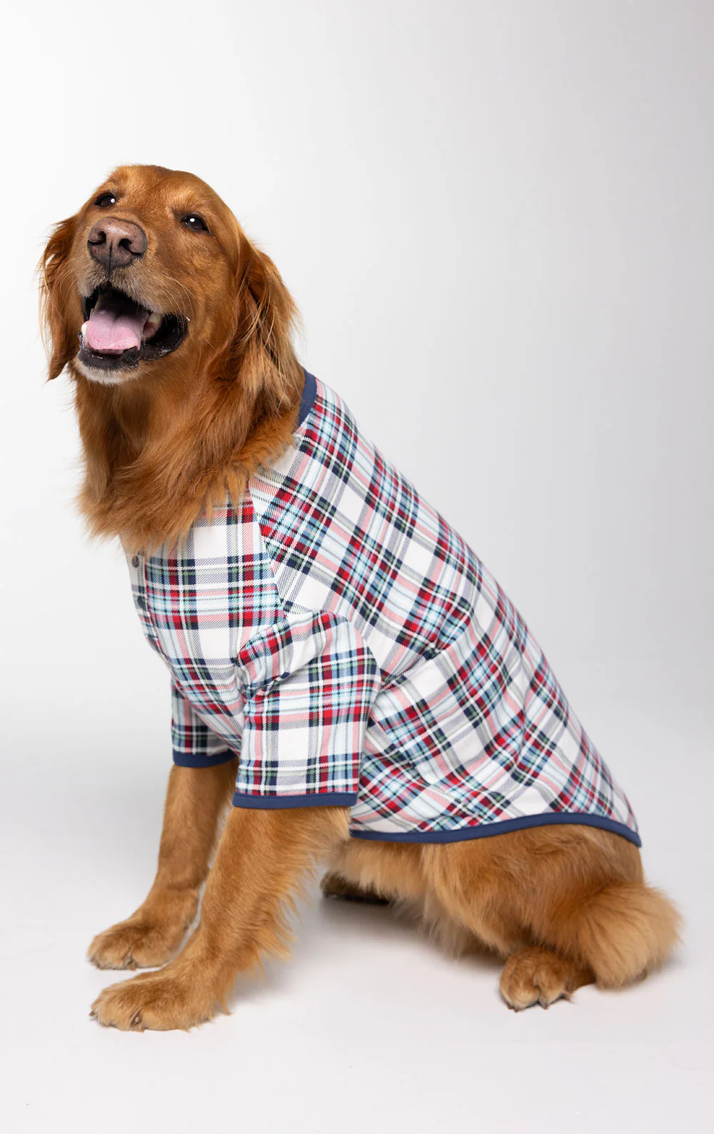 Farrell Plaid Pet Pajamas - Image 3