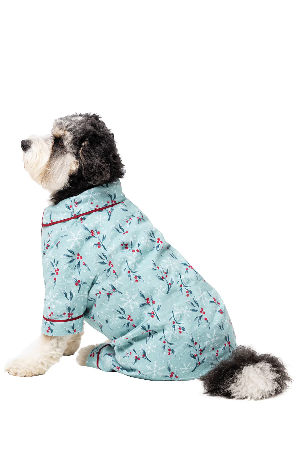 Holiberry Pet Pajamas - Final Sale - Image 2