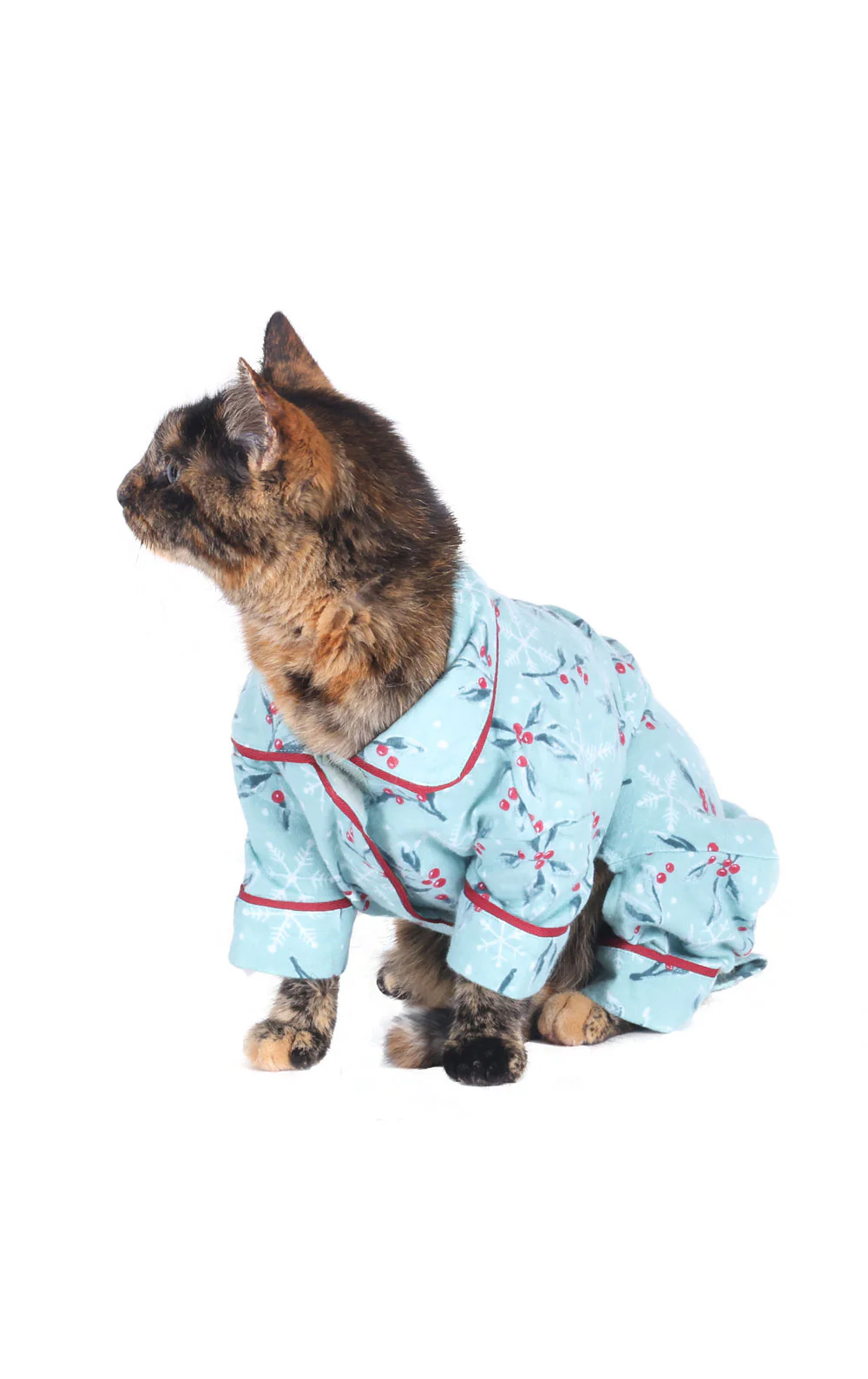 Holiberry Pet Pajamas - Final Sale - Image 3