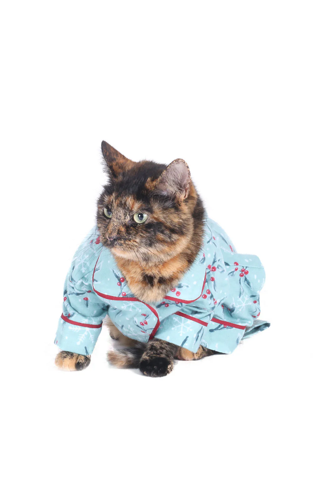 Holiberry Pet Pajamas - Final Sale - Image 4