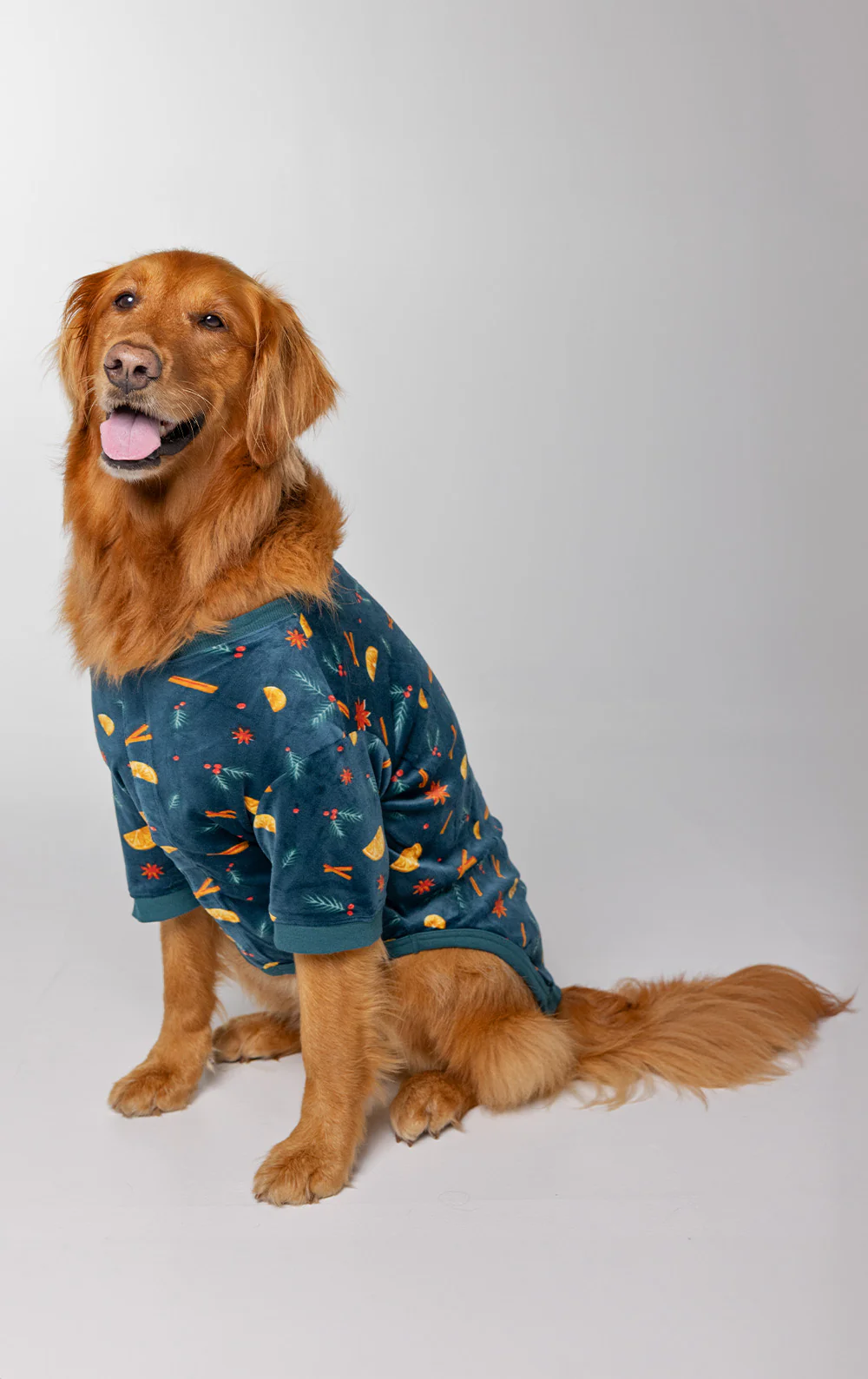 Holiday Garland Matching Pet & Owner Pajamas - Image 11