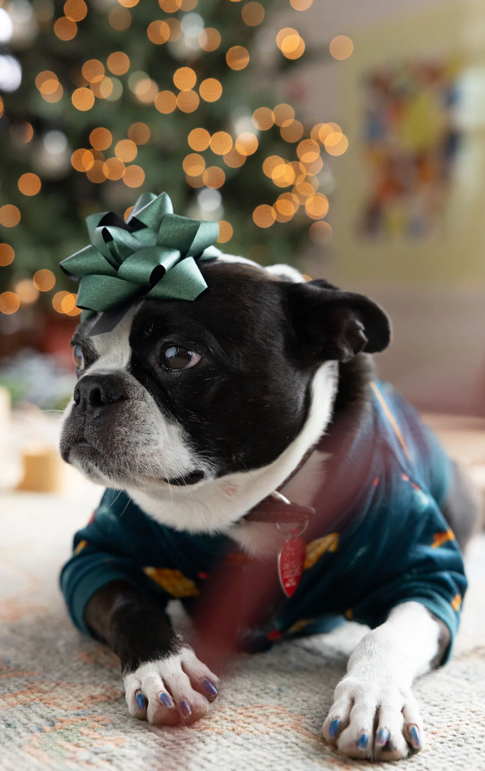 Holiday Garland Matching Pet & Owner Pajamas - Image 6