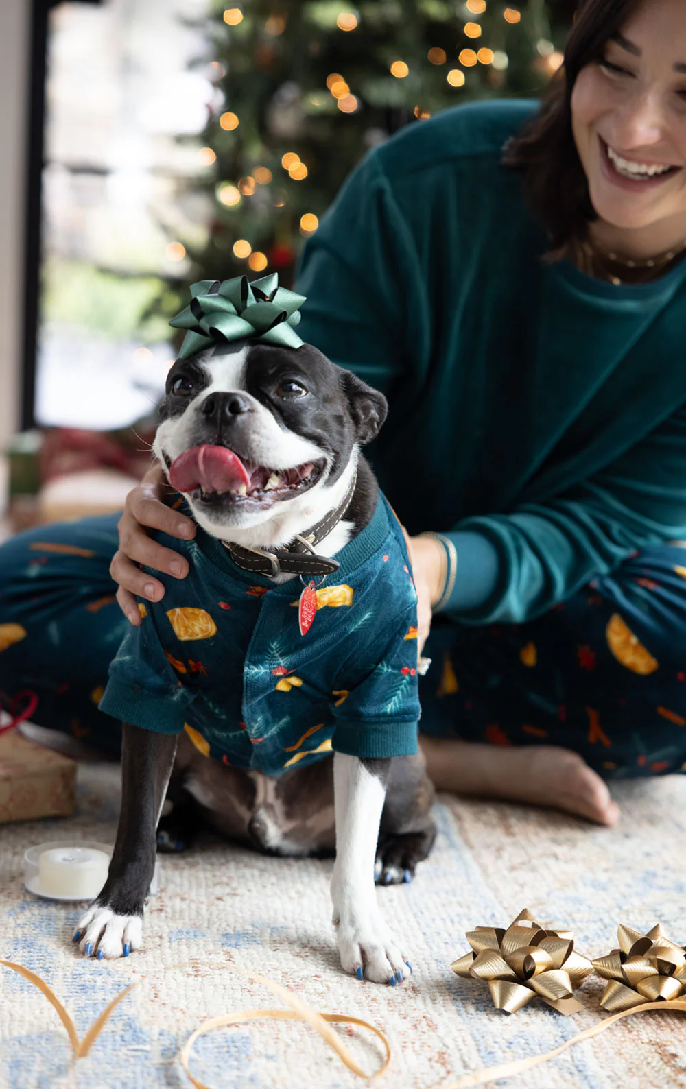 Holiday Garland Pet Pajamas - Pet & Owner - Image 4
