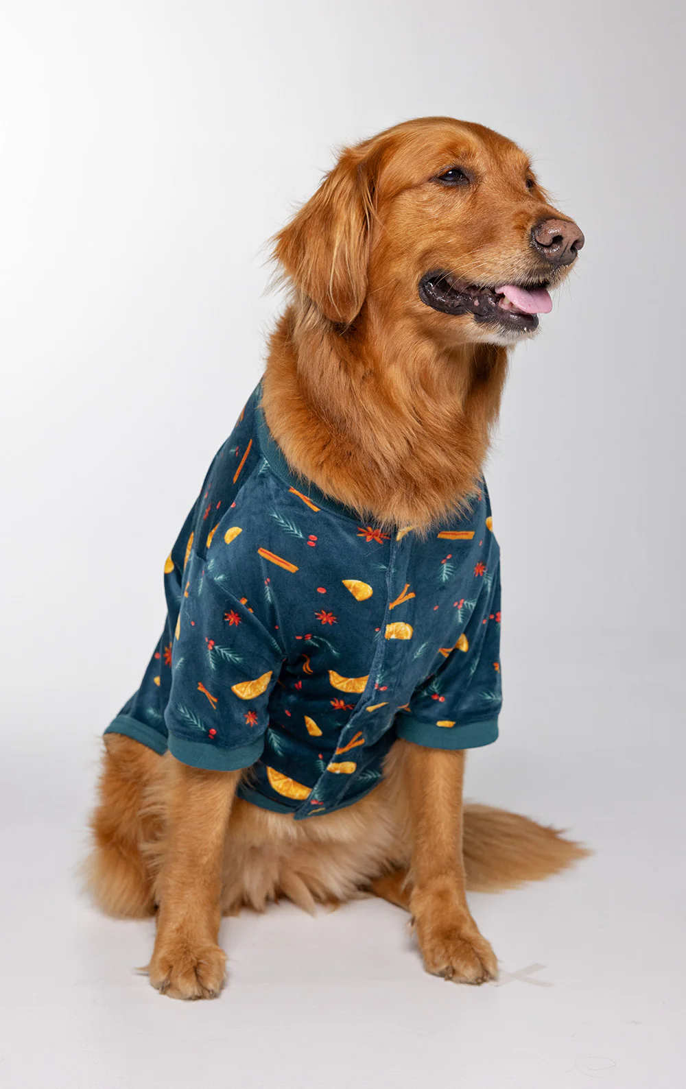 Holiday Garland Pet Pajamas - Pet & Owner - Image 5