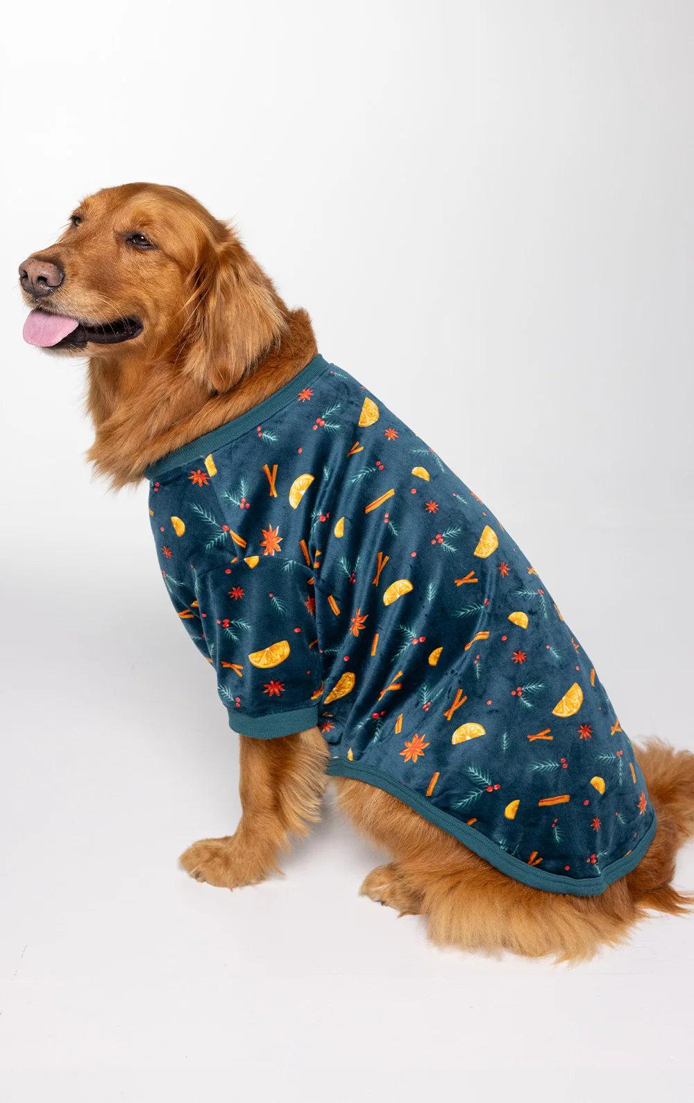 Holiday Garland Pet Pajamas - Pet & Owner - Image 6