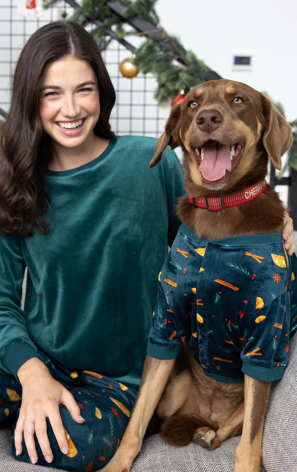 Holiday Garland Pet Pajamas - Pet & Owner - Image 2