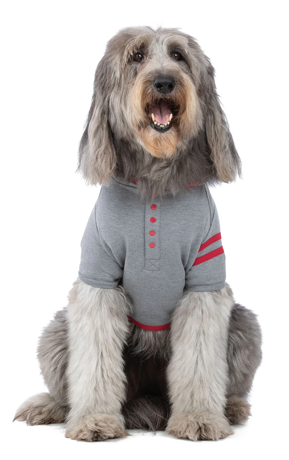Loved Matching Pet & Owner - Image 6
