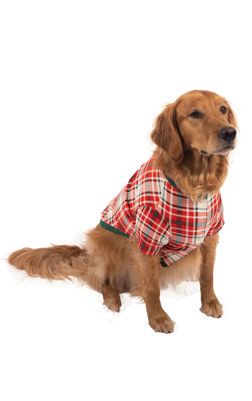Modern Plaid Matching Pet and Owner Pajamas - Evergreen - Image 6