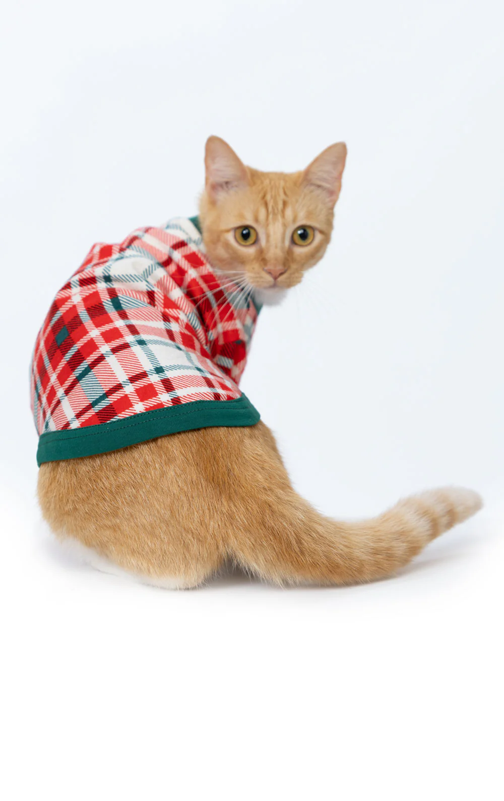 Modern Plaid Pet Pajamas - Image 3
