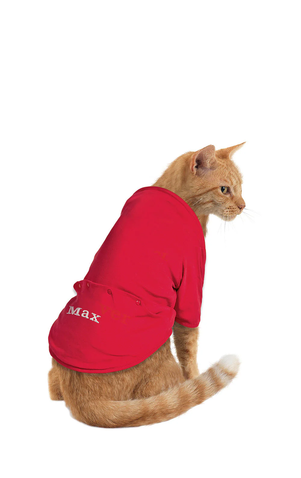 Red Dropseat Pet Pajamas - Pet & Owners - Image 2