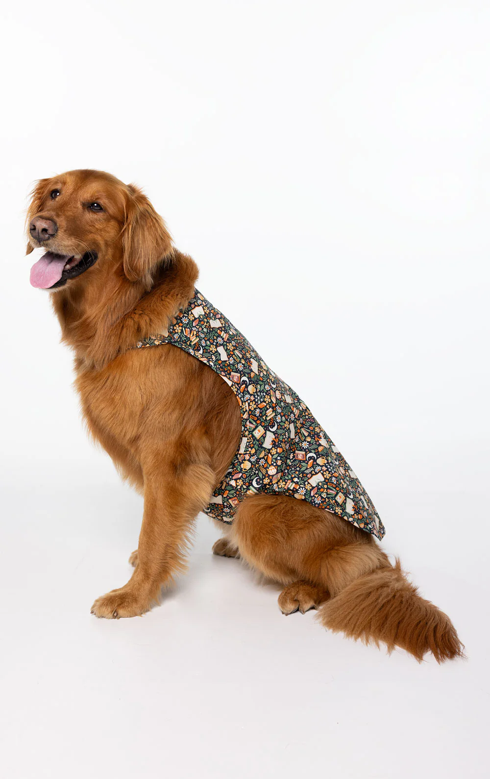 Rested Cotton Pet & Owner Pajamas - Cozy Reader - Image 6