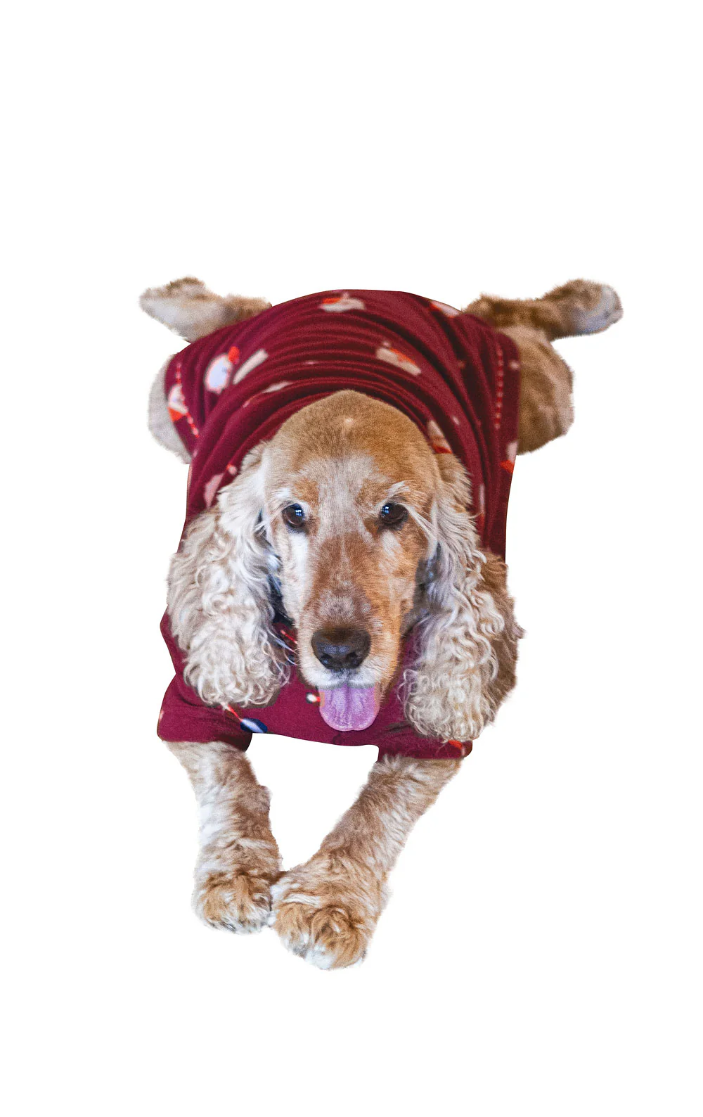 Santa Fleece Pet Pajamas - Final Sale - Image 3