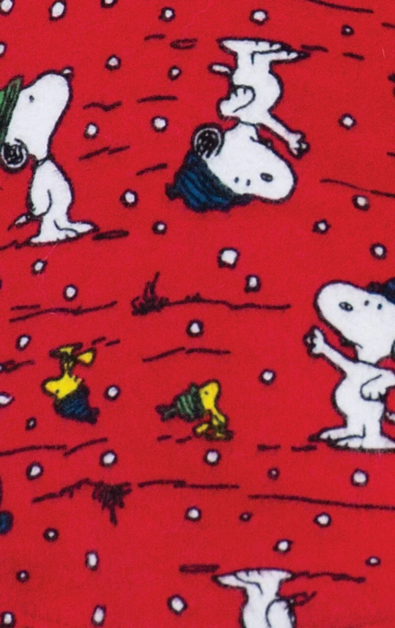 Snoopy & Woodstock Christmas Toddler Pajamas - Final Sale - Image 3