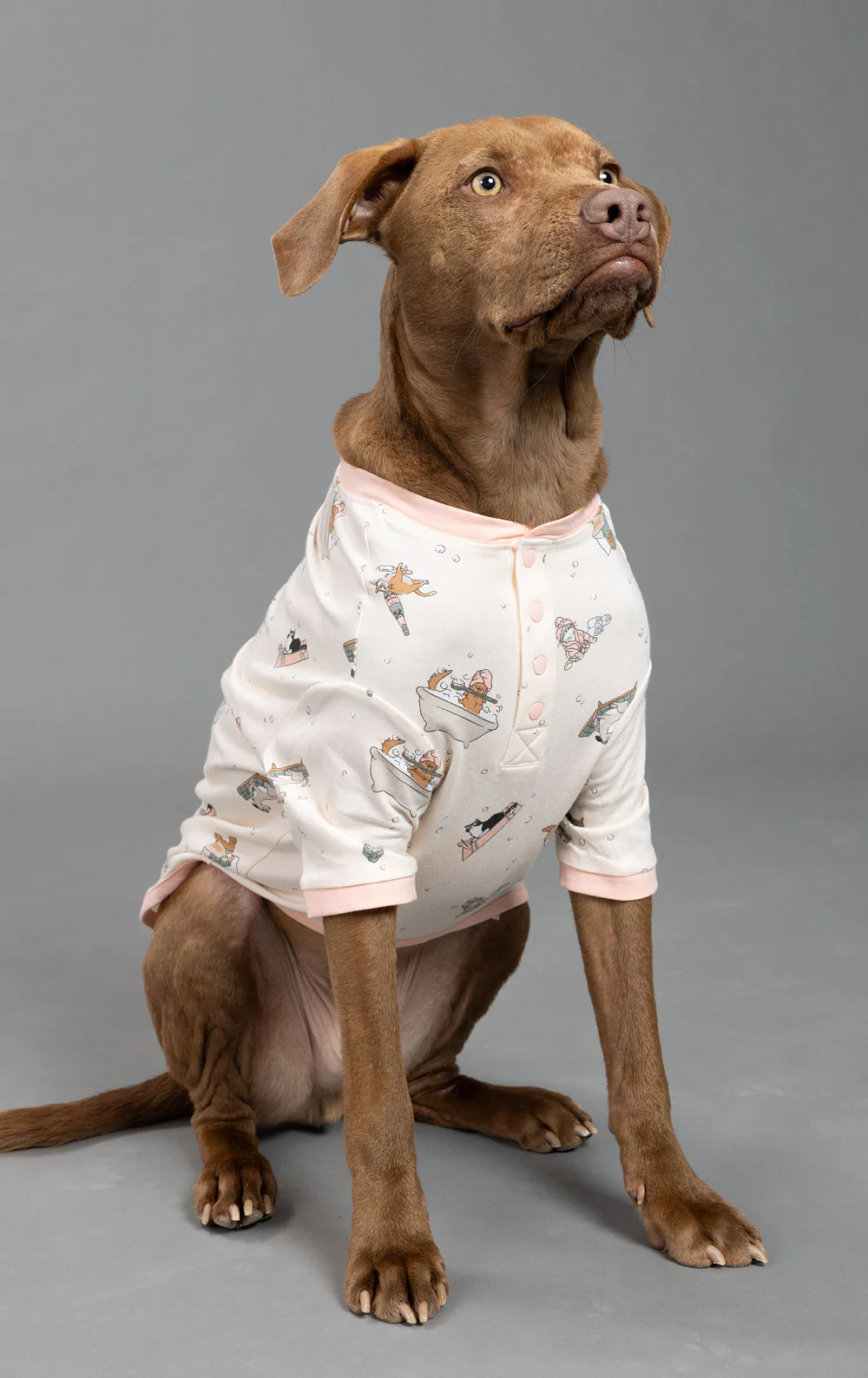 Staycation Pet Pajamas - Robe Pet & Owner - Image 2