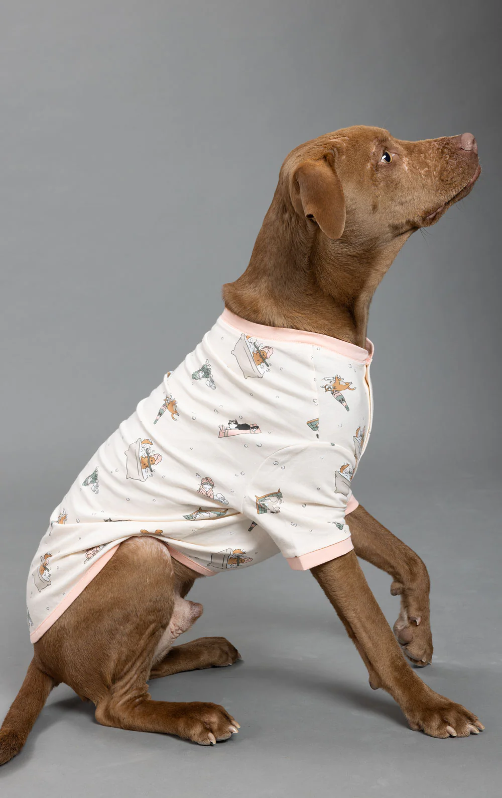 Staycation Pet Pajamas - Image 2
