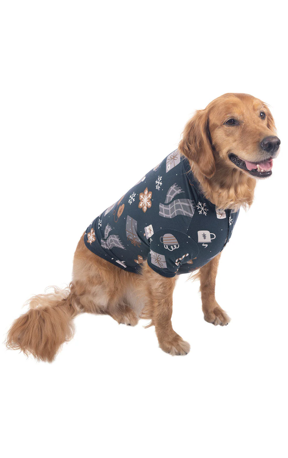 Sweet Comforts Matching Pet & Owner Pajamas - Image 4