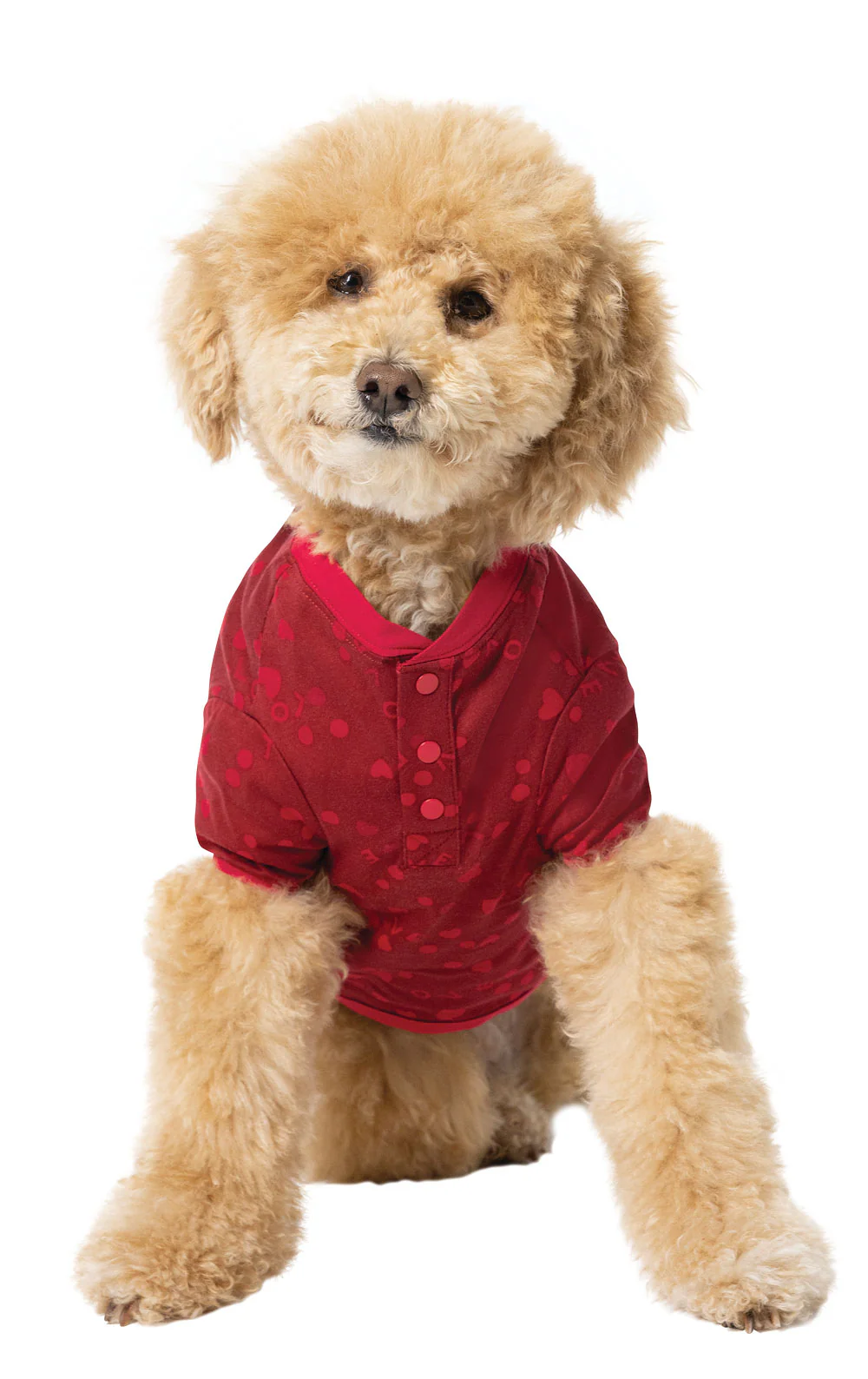 Sweet Love Pet & Owner Pajamas - Image 4
