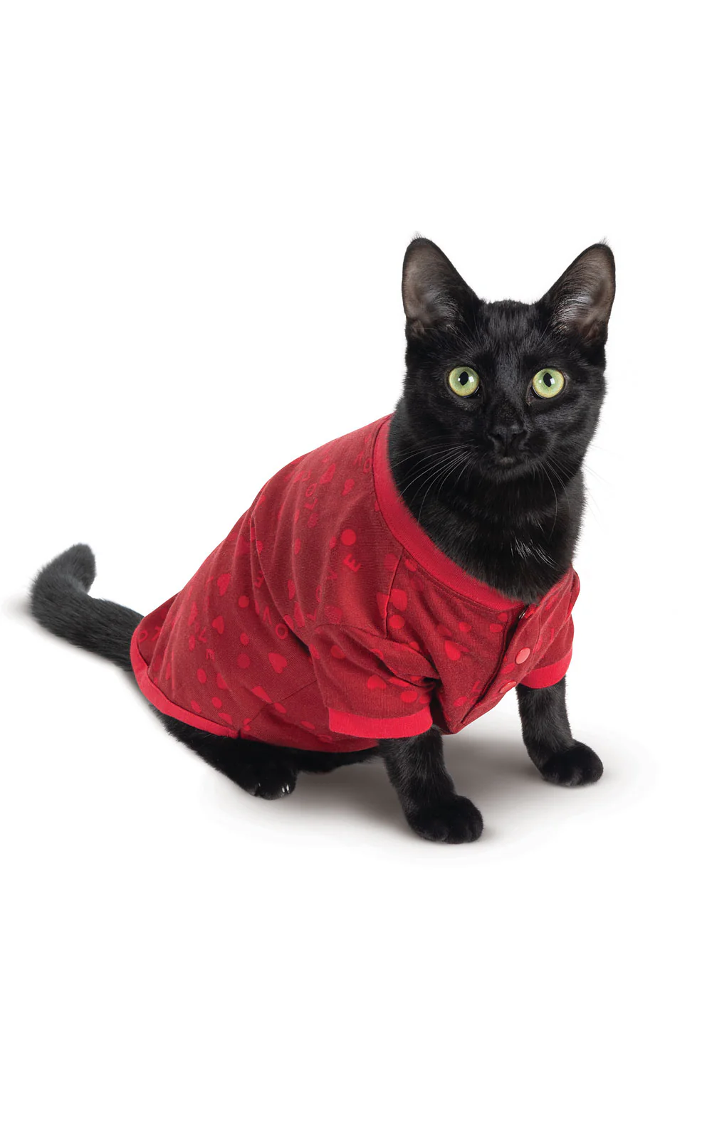 Sweet Love Pet Pajamas - Pet & Owner - Image 2