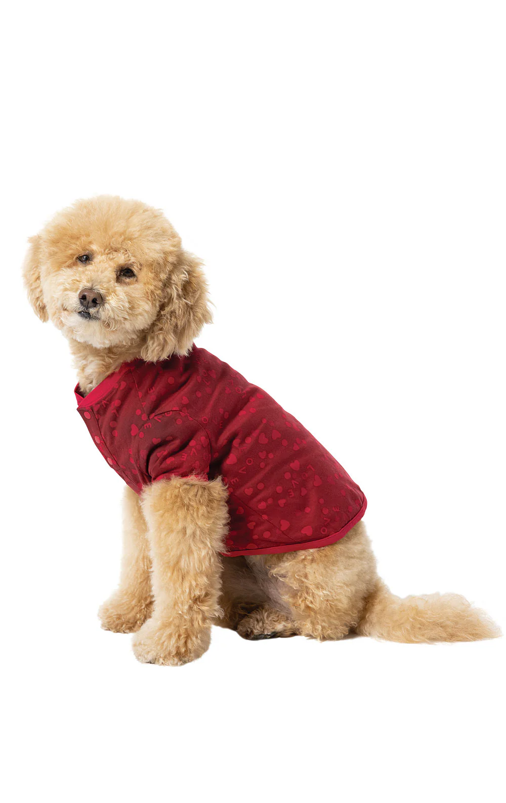 Sweet Love Pet Pajamas - Pet & Owner - Image 3