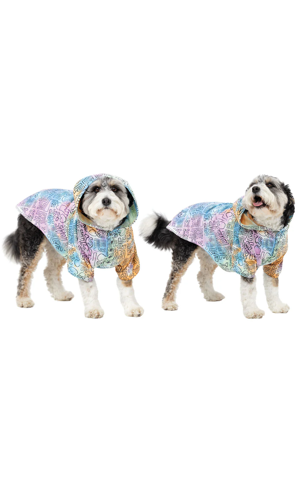Love Is Love Pet Pajamas- Final Sale - Image 3